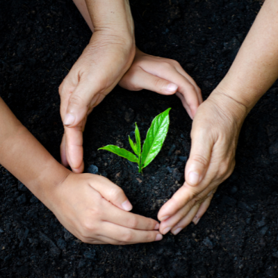 Sustainability, our journey so far 