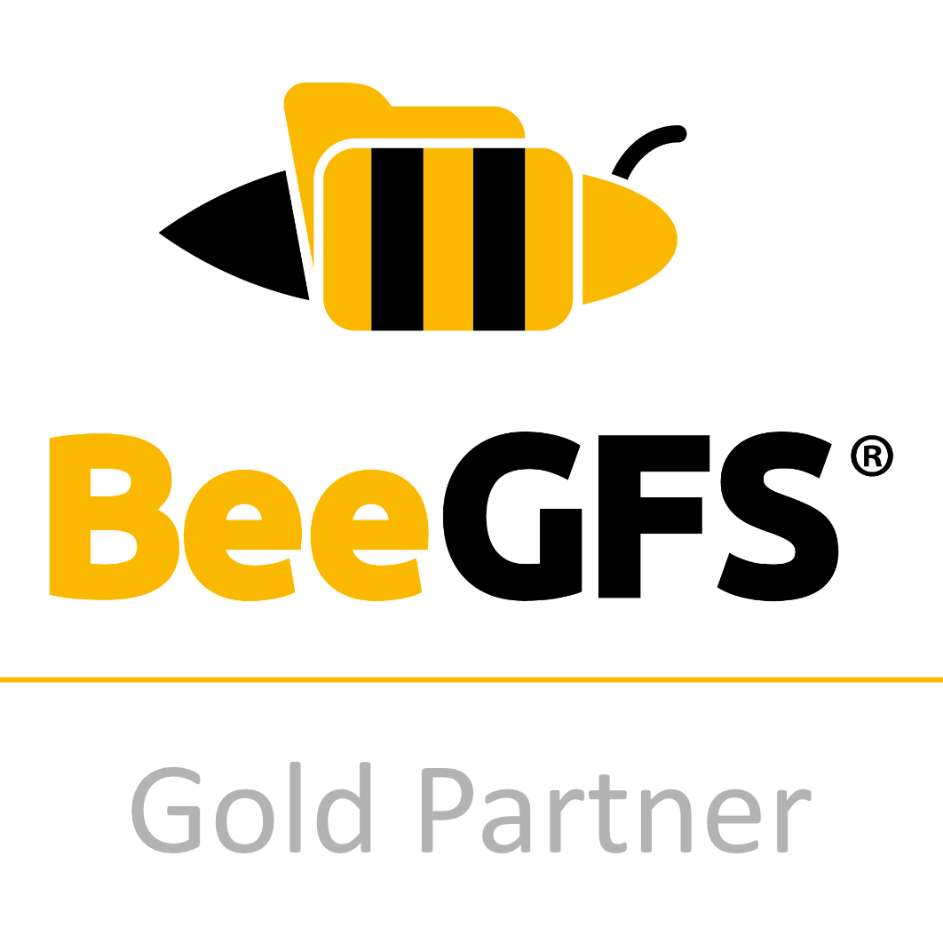 BeeGFS Support
